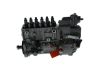 lnjection Pump -