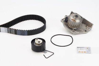 Water Pump & Timing Belt Kit Rover, Land Rover