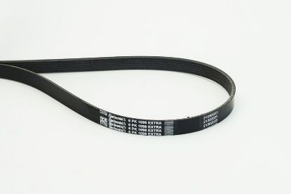 V-Ribbed Belt - V-Ribbed Belt -