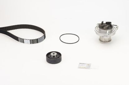 Water Pump & Timing Belt Kit CT 704 WP1