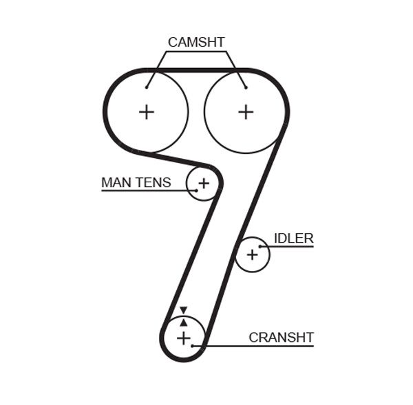 Timing Belt Lancia Thema
