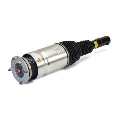 Air Suspension Strut Land Rover Range Rover Sport (L494) 14-17