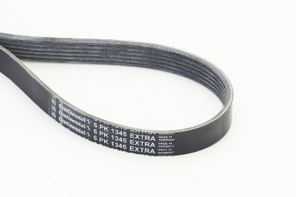 V-Ribbed Belt - V-Ribbed Belt -