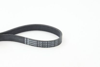 V-Ribbed Belt - V-Ribbed Belt -