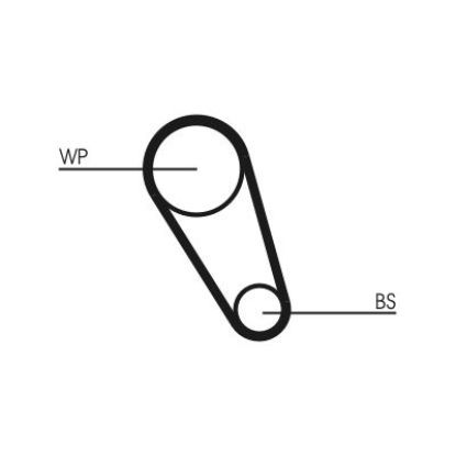 Water Pump & Timing Belt Kit VW
