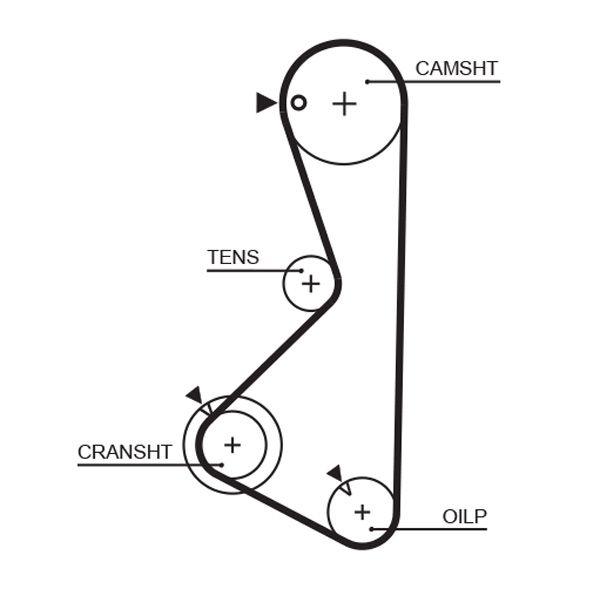 Timing Belt Mitsubishi