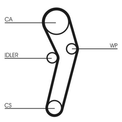 Timing Belt Mitsubishi