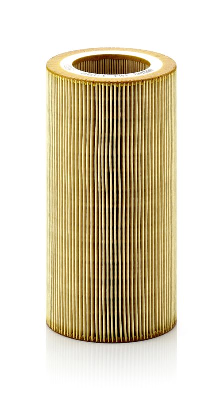 Oil Filter DAF P550661