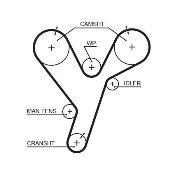 Timing Belt Mitsubishi