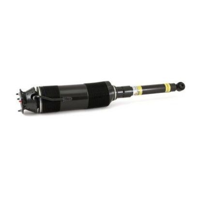 Air Suspension Strut MB S-Class (W220) 02-06 2203201838