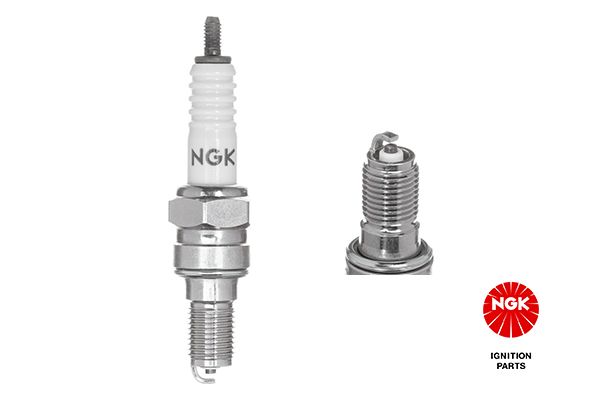 Spark Plug 2142