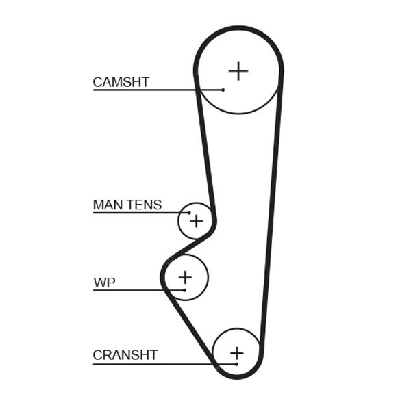 Timing Belt RPM™ Racing Timing Belt