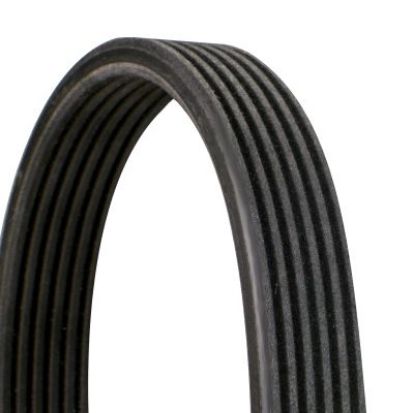 V-Ribbed Belt VOLVO - 30731811 V-Ribbed Belt VOLVO - 30731811