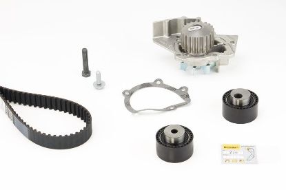 Water Pump & Timing Belt Kit BERLINGO (MF), EXPERT (224)