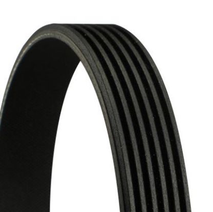 V-Ribbed Belt XANTIA (X2), ESCORT VII V-Ribbed Belt XANTIA (X2), ESCORT VII