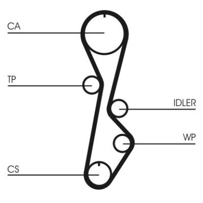 Timing Belt Mazda