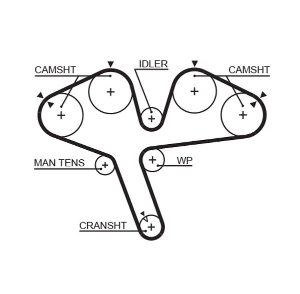 Timing Belt Mitsubishi