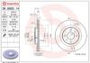 Brake Disc LADA 110 (2110) 01/95-12/12 /