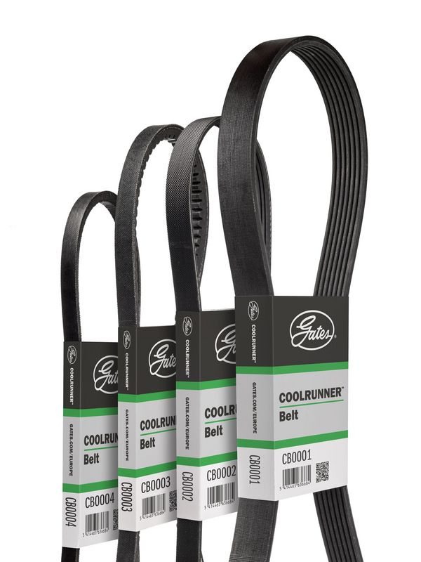 V-Ribbed Belt CB0072 COOLRUNNER V-Ribbed Belt CB0072 COOLRUNNER
