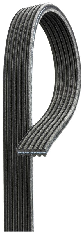 V-Ribbed Belt VOLVO - 30731811 V-Ribbed Belt VOLVO - 30731811