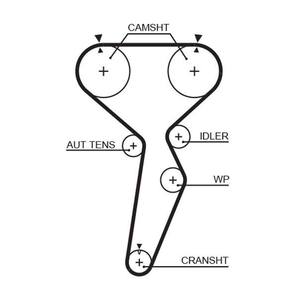 Timing Belt MITSUBISHI, VOLVO