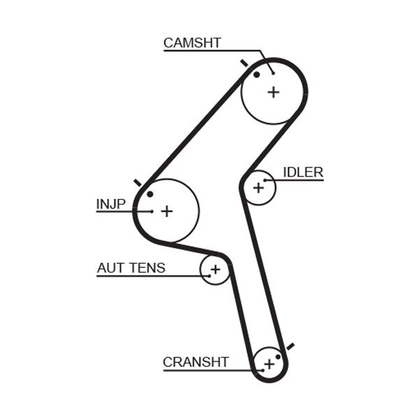 Timing Belt Nissan Serena 2.3 D - ( 21 )