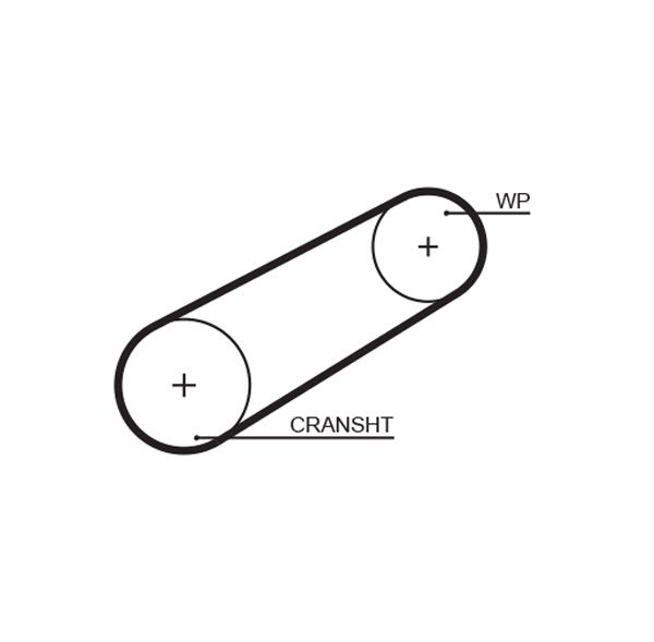 Timing Belt Citroen CX