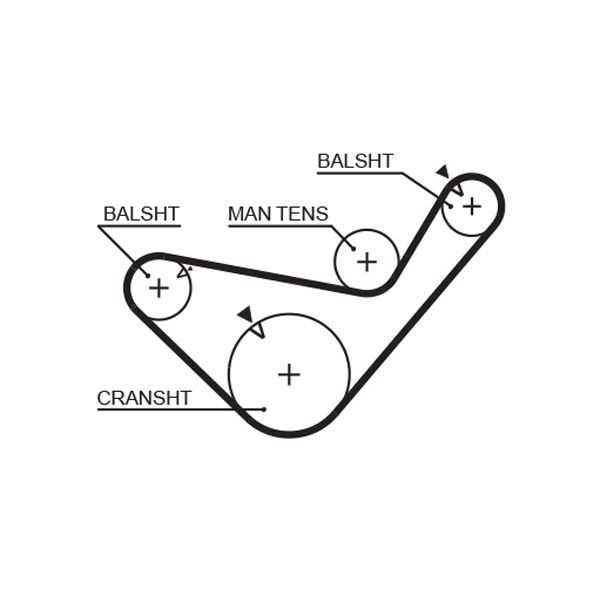 Timing Belt Hyundi H100 2.5 D - ( 21 )