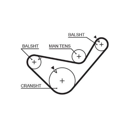 Timing Belt Hyundi H100 2.5 D - ( 21 )