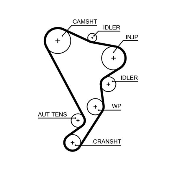 Timing Belt VW