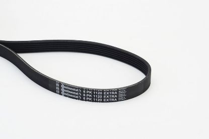 V-Ribbed Belt - V-Ribbed Belt -