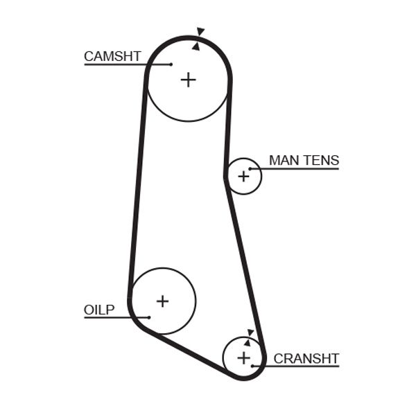 Timing Belt OPEL 4300516