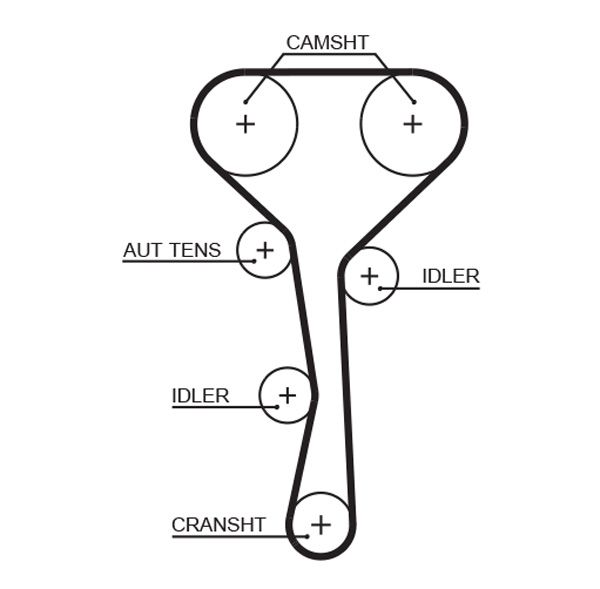 Timing Belt Renault