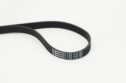 V-Ribbed Belt VAG - 6Q0 260 849E, PSA - 5750L2 V-Ribbed Belt VAG - 6Q0 260 849E, PSA - 5750L2