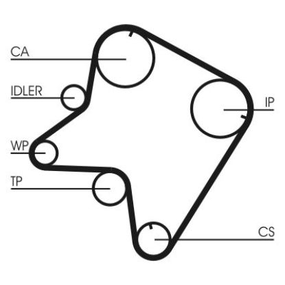 Timing Belt Mazda