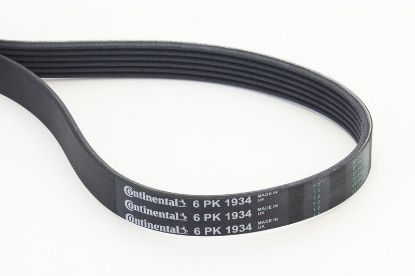 V-Ribbed Belt -