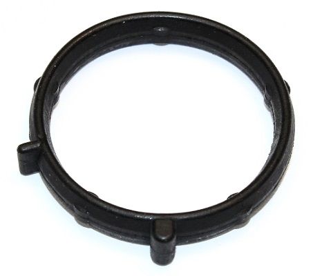 Gasket, intake manifold housing Fiat Gasket, intake manifold housing Fiat