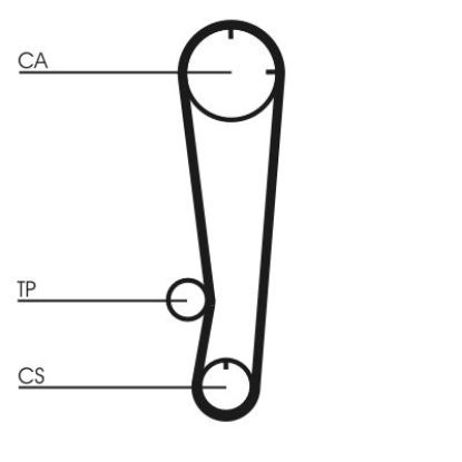 Timing Belt Mazda