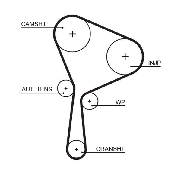 Timing Belt MEGANE 08- SCENIC 09-