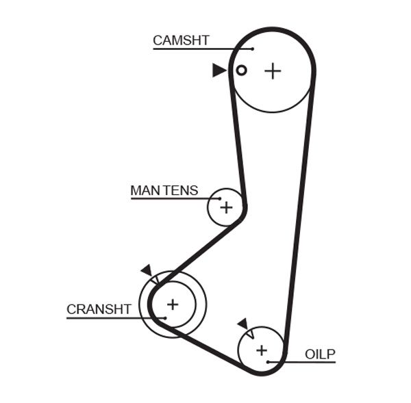 Timing Belt HYUNDAI - 24312-32555