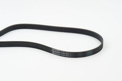 V-Ribbed Belt VAG - 078 903 137BD V-Ribbed Belt VAG - 078 903 137BD