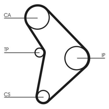 Timing Belt Mazda