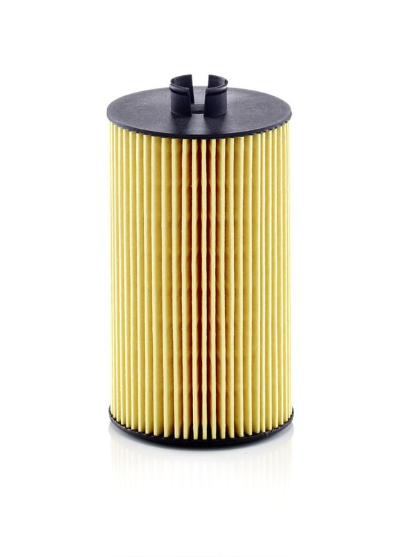Oil Filter FENDT - F 411 201 510 010