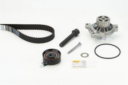 Water Pump & Timing Belt Kit CT 939 WP5