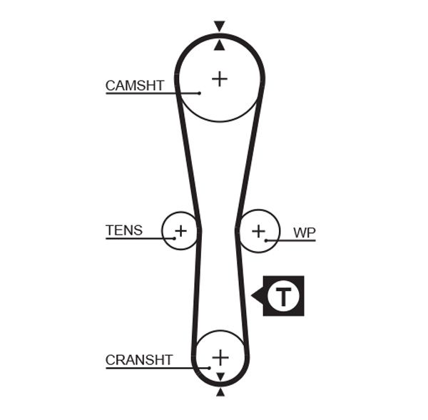 Timing Belt KANGOO (KC0/1_), CILO II