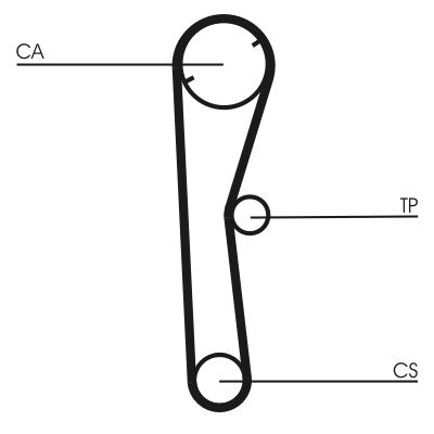 Timing Belt Honda. Nissan