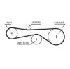 Timing Belt Kit A4 (8EC, B7), A5 (8T3), Q7....
