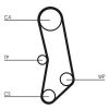 Timing Belt Kit CT 503 K1