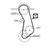 Timing Belt Kit VAG - 6K0198002
