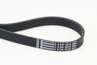 V-Ribbed Belt VAG - 03L 903 137G V-Ribbed Belt VAG - 03L 903 137G